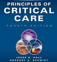 Image of Principles of Critical Care